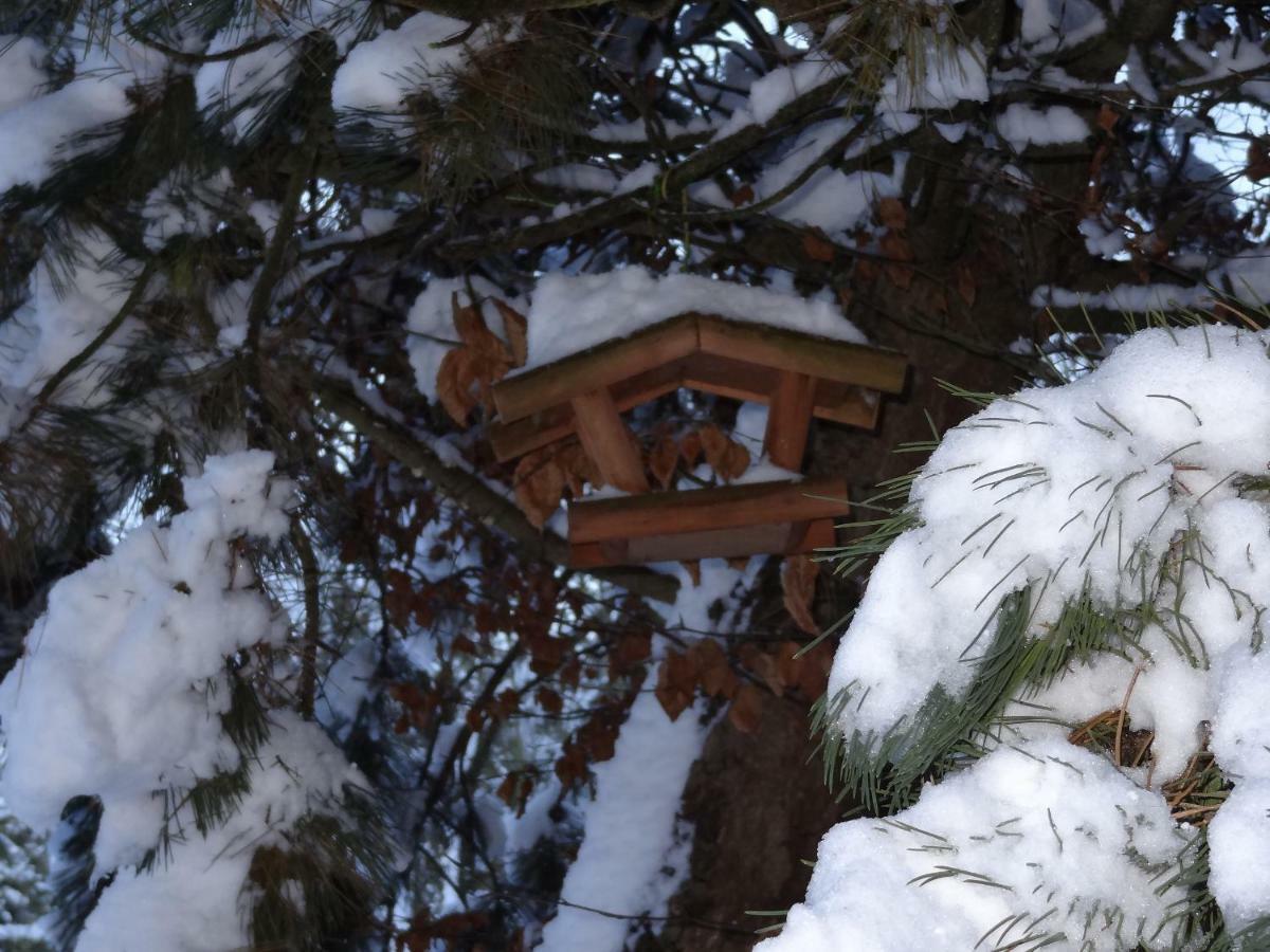 La Fermette Blanche Bed & Breakfast Nadrin Eksteriør bilde